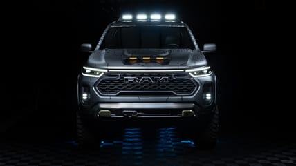 South American Ram Dakota