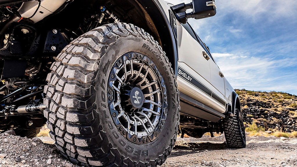 shelby 3