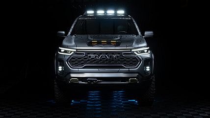 South American Ram Dakota