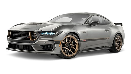 FP800S Bronze Magneride Package