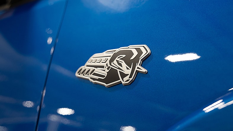 Ram's Symbol of Protest