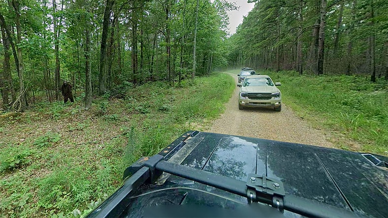 Sasquatch Mannequin in Mississippi