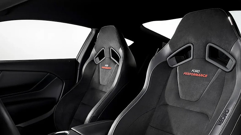 FP800S Bronze Magneride Package