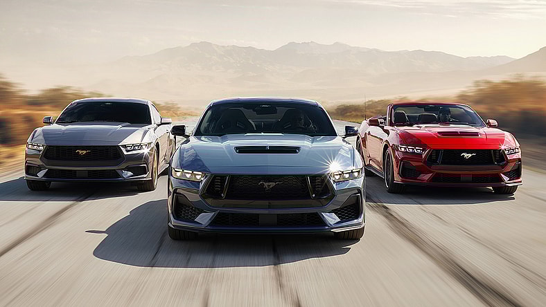 Ford Mustangs