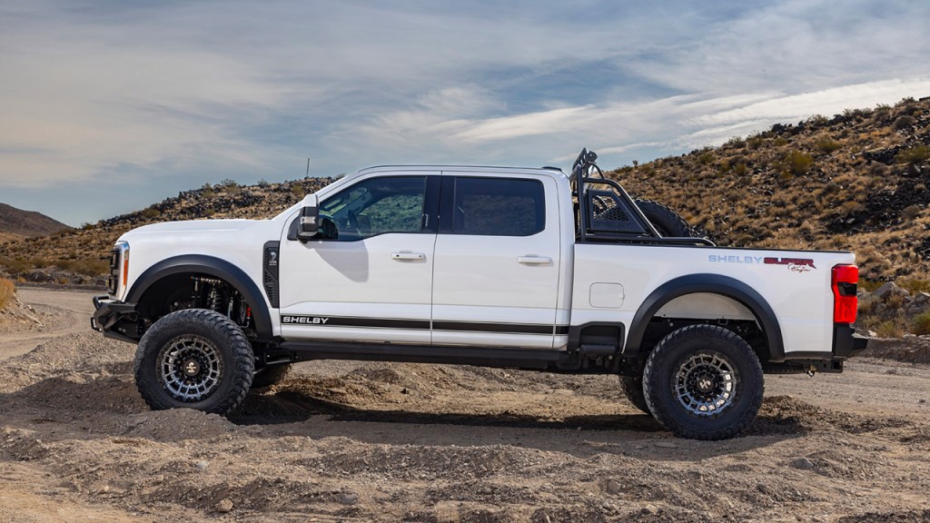 shelby 2