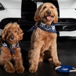 Mopaw Accessories