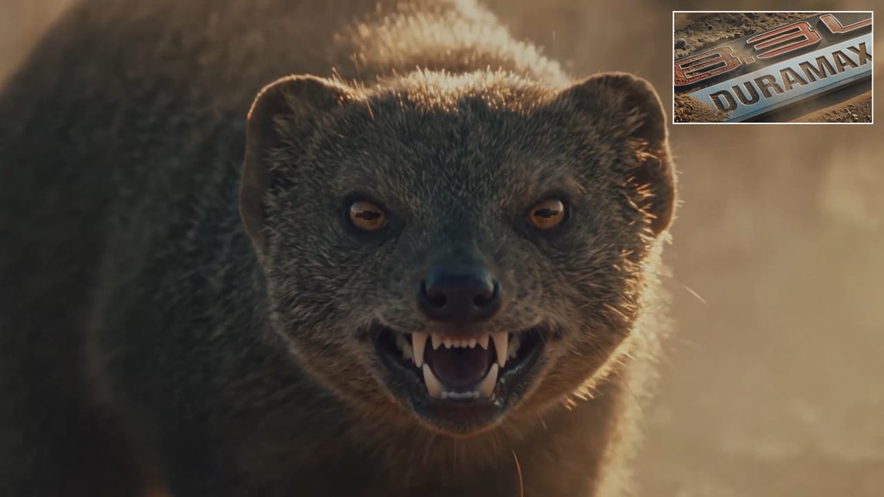 GM’s New Mongoose 8.3-liter V8 Is Ready To Eat Ford’s Diesel Engines For Lunch 